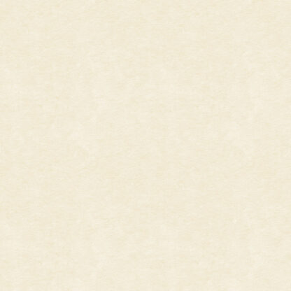Andes - Absorber - FG | (T0273) Light Ivory
