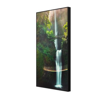 Hisense 55" Window Facing - 24/7 Operation